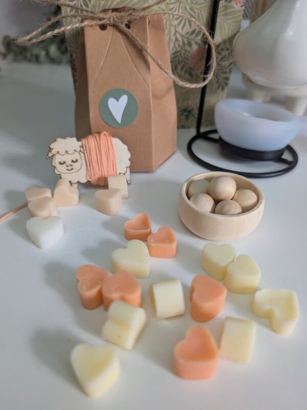 Wax Melts- Andalucía (Naranja especiada)